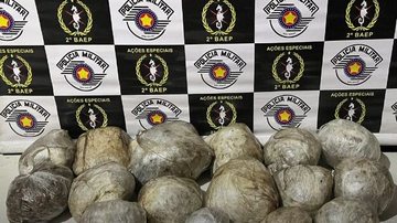 Polícia encontra 6kg de maconha em mata no litoral de SP
