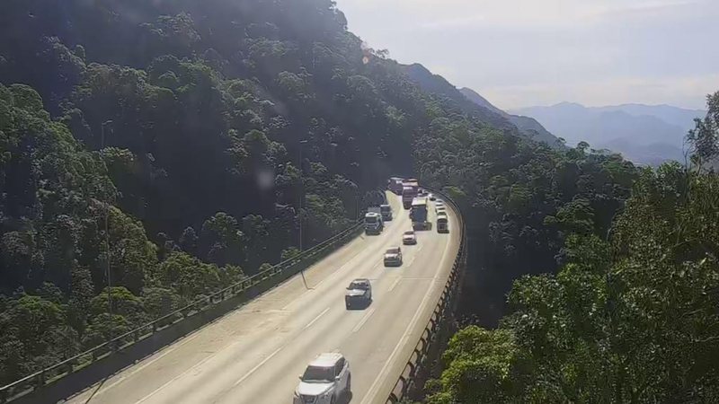 Rodovia Anchieta é bloqueada às pressas para poda emergencial de árvores