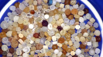 Sua praia tem lágrimas de sereia? Entenda o que é e porque isso preocupa pesquisadores