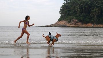 Menina e cachorro na praia