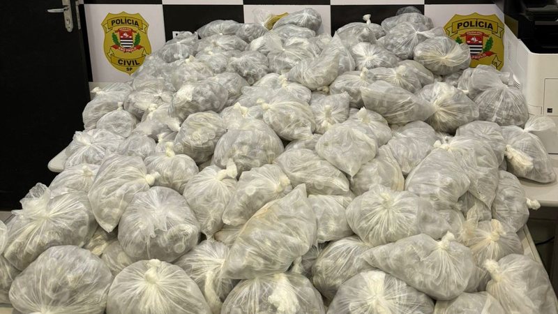 'Casal do crime' é preso transportando mais de 20 mil porções de drogas, em Praia Grande