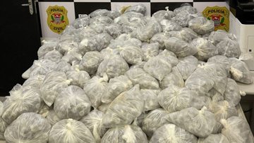 'Casal do crime' é preso transportando mais de 20 mil porções de drogas, em Praia Grande