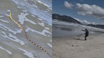 Cobra é resgatada com detector de metais em dia de banho de mar no litoral de SP