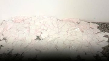 Denúncia leva PM a apreensão de 500 porções de cocaína em casa de veraneio
