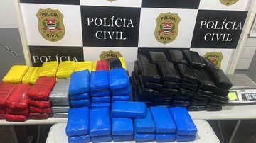 Mais de 180kg de cocaína apreendidos no Guarujá levanta suspeita de tráfico internacional
