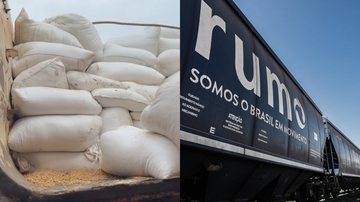 Toneladas de soja apreendidas pela Polícia Civil