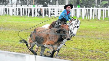 Prefeito veta projeto de lei que libera rodeio crioulo em Cubatão