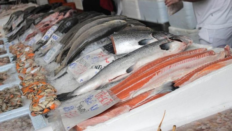 Salmão