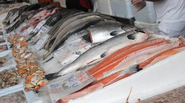Salmão