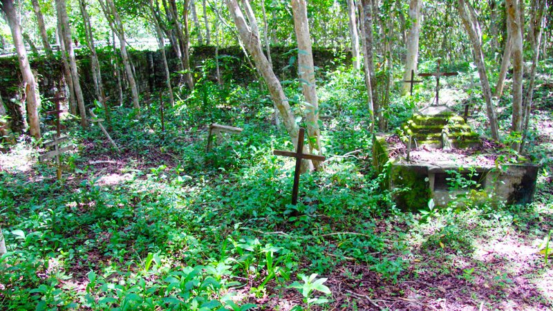 Cemitério onde estão enterrados os mortos por consumirem mandioca brava na Ilha Anchieta, em Ubatuba - Foto Reginaldo Pupo
