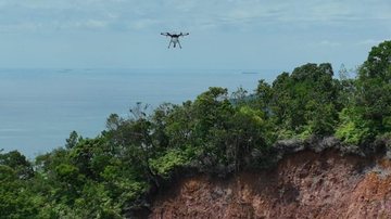 Projeto 'Restaura Litoral' conquista 2º lugar no prêmio SP Carbono Zero