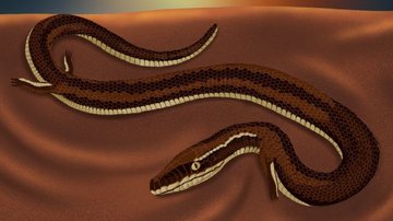 Cobra com patas