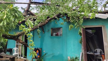 Fortes ventos derrubam árvore sobre casa em Ilhabela, no litoral de SP