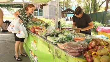Feira de orgânicos de Santos