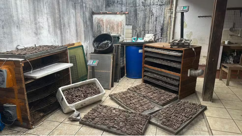 Polícia Ambiental apreende 60kg de pepino-do-mar em Ubatuba