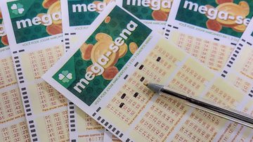 Bolão de Praia Grande acerta quina da Mega-Sena; veja números sorteados