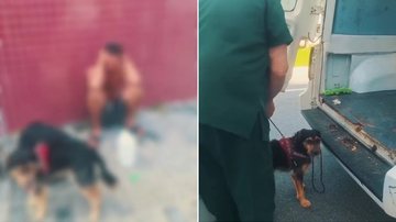 Justiça de Bertioga torna réu homem acusado de chutar e arrastar cachorro pela coleira