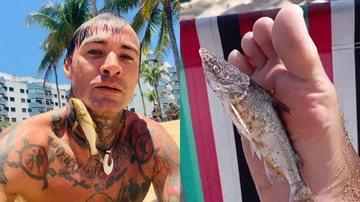 Bagres mortos encalham em praias e ferem banhistas no litoral de SP