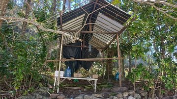 Estrutura clandestina para venda de comida é demolida em área de preservação