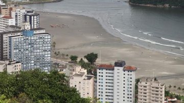 Banhistas encontram vísceras em praia de Santos; material é analisado