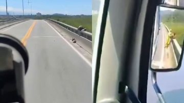 Coletores de lixo salvam pessoa em situação de rua que dormia na mureta de ponte em Bertioga