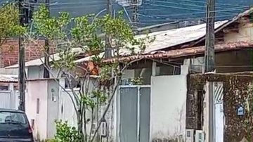 Passageiro sofreu mal súbito e morre dentro de ônibus no litoral de SP