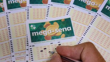 Quatro apostas do litoral paulista acertam a quina na Mega-Sena