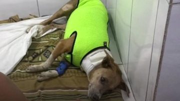 Neguinha luta pela vida após ser esfaqueada em Praia Grande