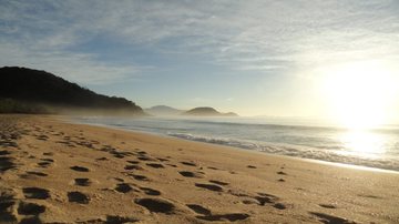 Praia do Félix em Ubatuba, SP, com areia clara e mar cristalino