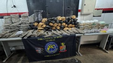 Tonéis com maconha e cocaína são encontrados enterrados em área de mangue