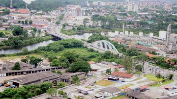 Cubatão abre votação pública para escolher a árvore-símbolo da cidade