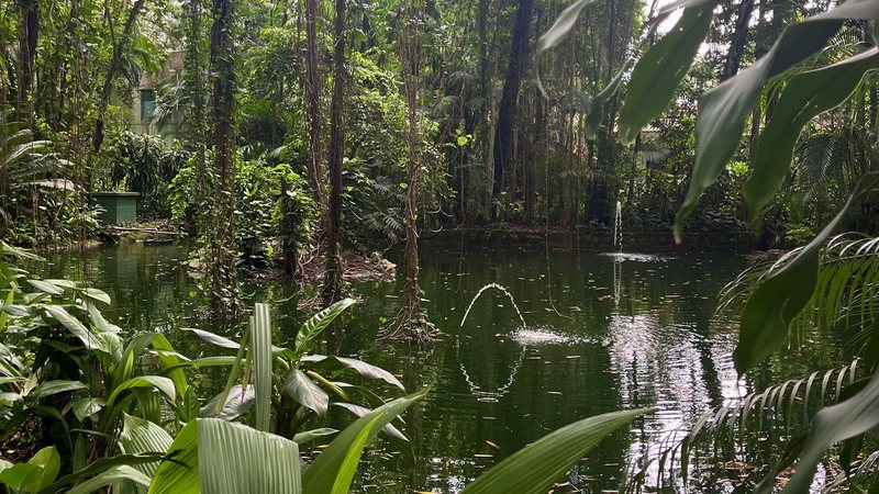 Orquidário e Aquário de Santos oferecem programação especial em fevereiro