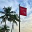 A imagem mostra uma bandeira vermelha da Cetesb (Companhia Ambiental do Estado de São Paulo) indicando que a praia está imprópria para banho