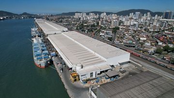Produtora mundial de celulose bate recorde de embarques no Porto de Santos