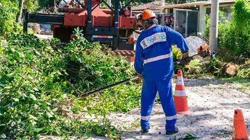 Rede elétrica avança em Guaratuba e deve atender 132 famílias em Bertioga
