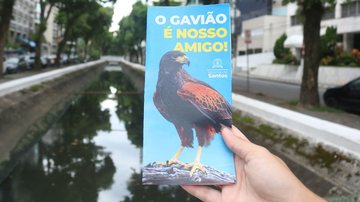 Santos lança campanha para orientar sobre gaviões asa-de-telha