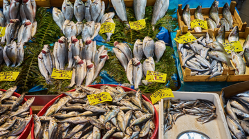 Peixes expostos em peixaria
