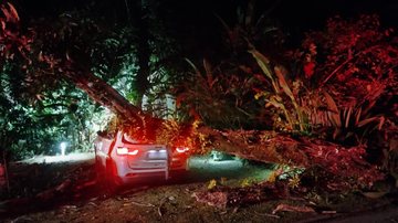 Árvore cai sobre carro e mobiliza bombeiros em São Sebastião