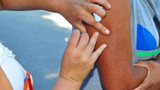 Caraguatatuba reforça vacinação contra febre amarela neste fim de semana