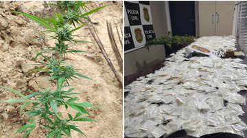 Coordenador regional de facção criminosa é preso com 2 mil porções de drogas em Itanhaém