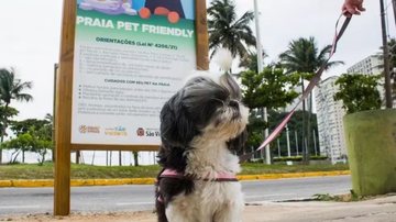 Parque Pet em São Vicente