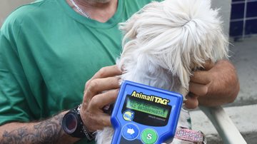 Pet PG Chip oferece microchipagem gratuita a feira livre em Praia Grande