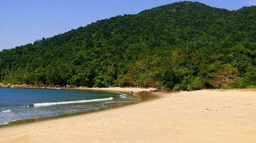 Praia do Camburi: praia de ondas fortes no Guarujá