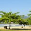 Praia do Perequê-Açu une infraestrutura completa e fácil acesso em Ubatuba