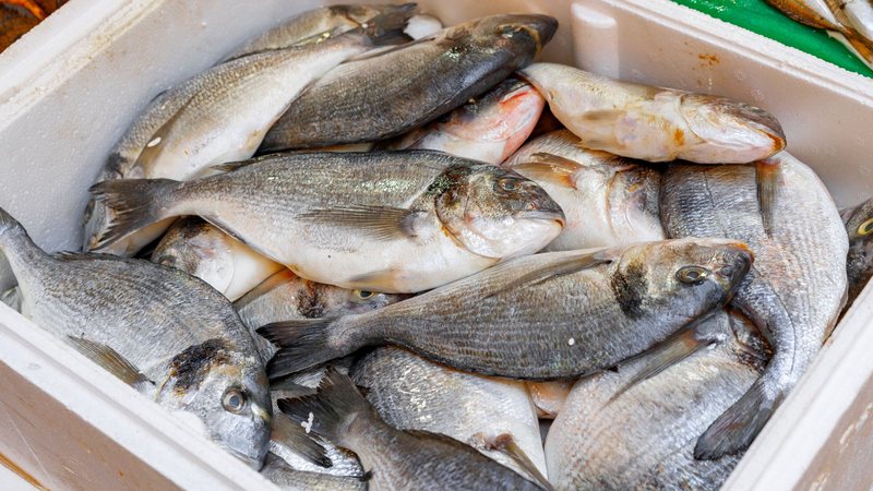 Fundo Social distribui 4 toneladas de peixes e atende 3 mil famílias em Guarujá