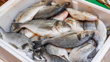 Fundo Social distribui 4 toneladas de peixes e atende 3 mil famílias em Guarujá