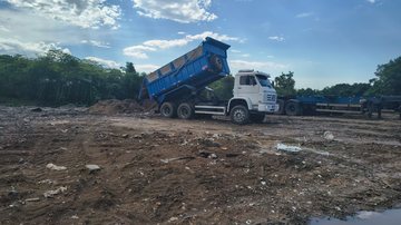GCM flagra crime ambiental em área de mangue em São Vicente