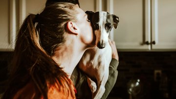 Guarda compartilhada de pets passa no Senado com regras rígidas