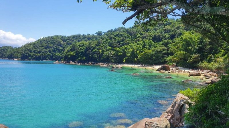 Ilha das Couves, em Ubatuba, encanta turistas com mar cristalino e visita controlada