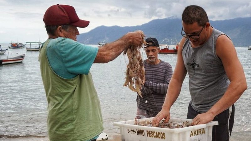 Pescadores de São Sebastião voltam ao mar com o fim do defeso do camarão